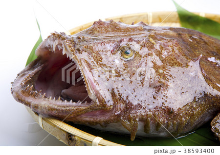 アンコウ 食材 アンコウ 食材 38593400