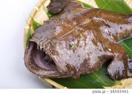 アンコウ 食材 アンコウ 食材 38593401