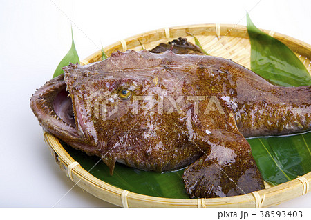 アンコウ　食材 38593403