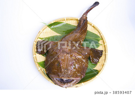 アンコウ 食材 アンコウ 食材 38593407