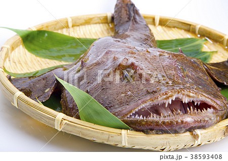 アンコウ　食材 38593408