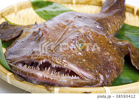 アンコウ 食材 アンコウ 食材 38593412