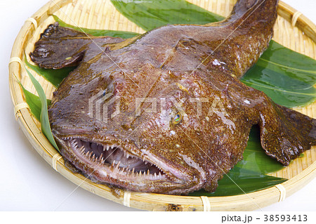 アンコウ 食材 アンコウ 食材 38593413