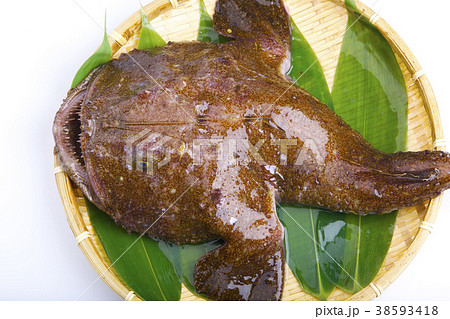 アンコウ 食材 アンコウ 食材 38593418