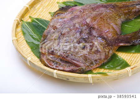 アンコウ 食材 アンコウ 食材 38593541