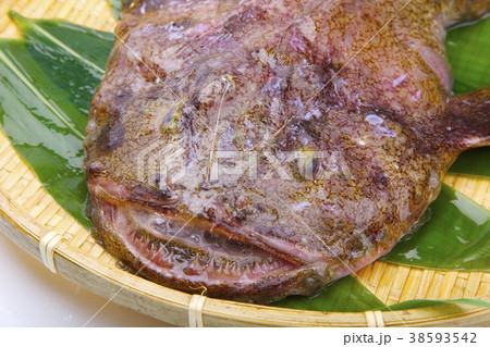 アンコウ 食材 アンコウ 食材 38593542