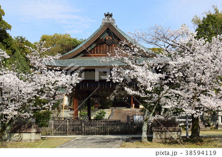 京都　春の新日吉神宮 38594119