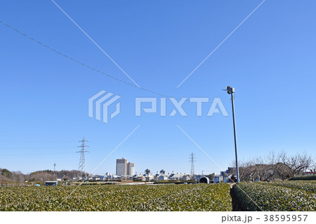 小手指駅方面の遠望（入間所沢バイパスの誓詞橋方面から） 38595957