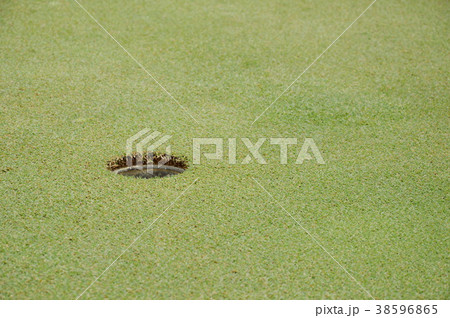 hole on green golf court field in sunny day hole on green golf court field in sunny day 38596865