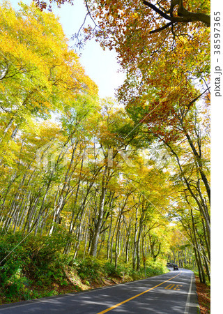 大山環状道路 38597365