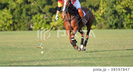 Horse Polo player hit a polo ball 38597847