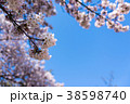 桜と青空 38598740