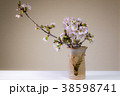 花瓶に入れた桜の枝 38598741