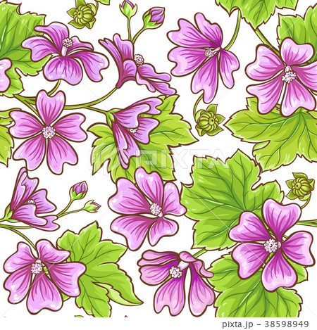 malva vector frame malva vector frame 38598949