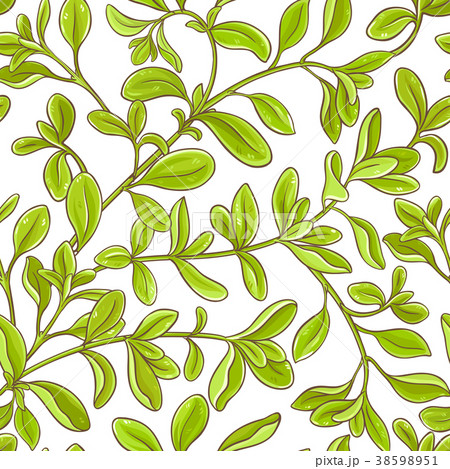 marjoram branch vector pattern marjoram branch vector pattern 38598951
