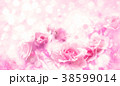 Pink roses flowers, bokeh  background. 38599014