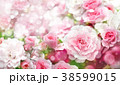 Blossoming roses flowers  background. 38599015
