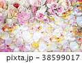 Roses flowers  background. 38599017