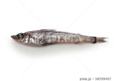 メヒカリ メヒカリ 38599407