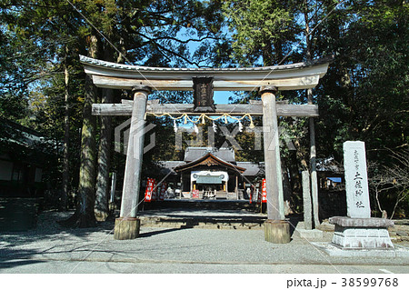 高知　土佐神社 38599768