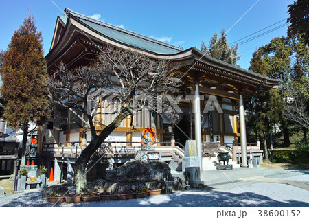 高知 善楽寺 高知 善楽寺 38600152