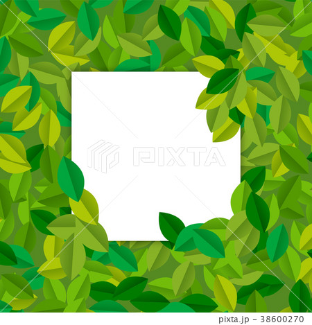 Green tree leaves with empty paper card template 38600270