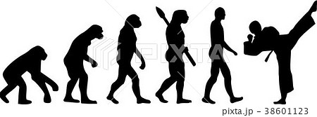 Karate Evolution Karate Evolution 38601123