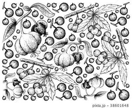 Background of Allophylus Edulis and Pitanga Fruits 38601648
