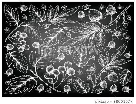 Atherton Raspberries American Cranberries 38601677