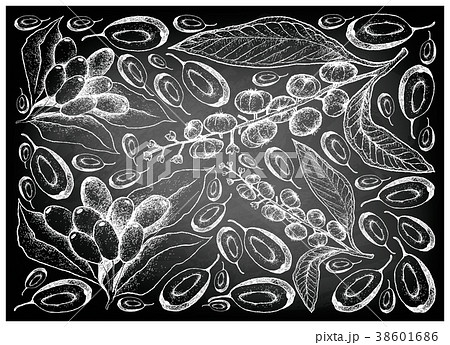 American Pokeweed and Jambolan Plums on Chalkboard 38601686