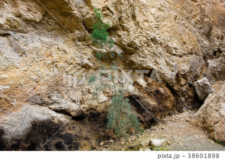 Landscape of the Negev desert in Israel Landscape of the Negev desert in Israel 38601898