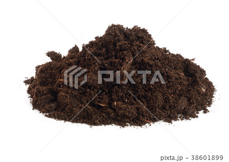 Pile heap of soil isolated on white background Pile heap of soil isolated on white background 38601899