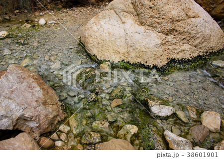 Landscape of the Negev desert in Israel Landscape of the Negev desert in Israel 38601901