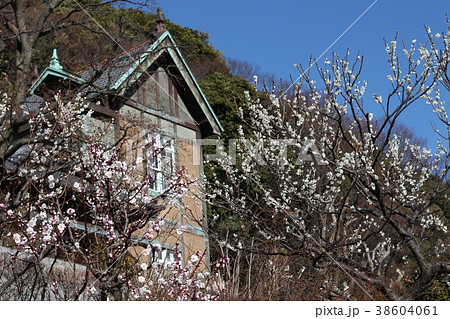 根岸なつかし公園 旧柳下邸の写真素材