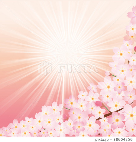 桜のイラスト 春のイメージの背景画像 日差しと桜の木 ソメイヨシノのイラスト素材