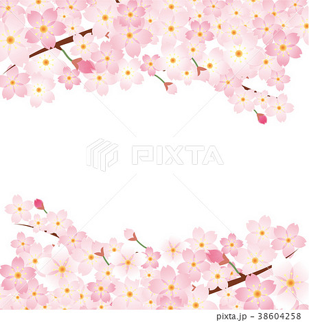 桜のイラスト 春のイメージの背景画像 桜の木 ソメイヨシノのイラスト素材