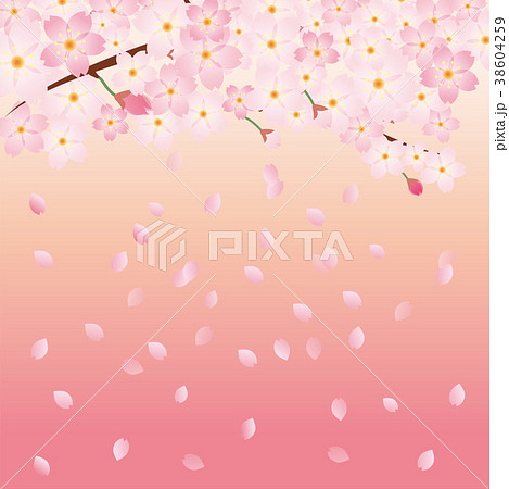 桜のイラスト 花びらが舞う春のイメージの背景画像 桜の木 ソメイヨシノのイラスト素材