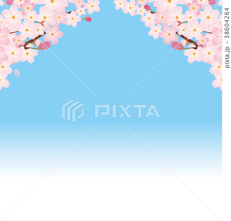 アーチ型の桜のイラスト 春のイメージの背景画像 桜の木 ソメイヨシノのイラスト素材