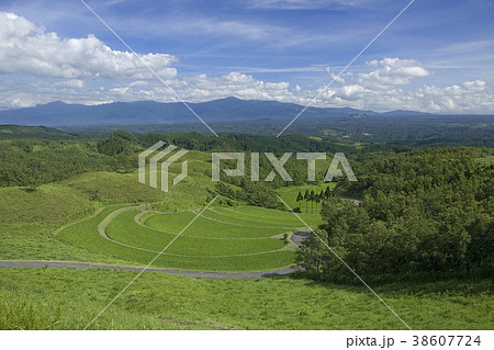 阿蘇産山村扇棚田 38607724