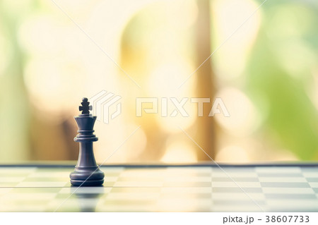 King Chess is placed on a chessboard.using King Chess is placed on a chessboard.using 38607733