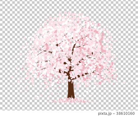 死棕色櫻桃樹 38610160