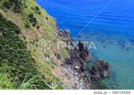 奄美大島 「大金久ふれあいパーク」 38610666