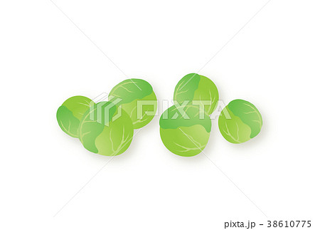 芽キャベツ 芽キャベツ 38610775