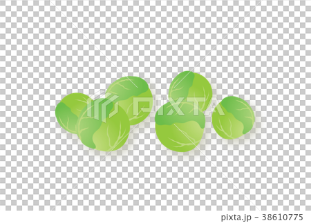芽キャベツ 芽キャベツ 38610775