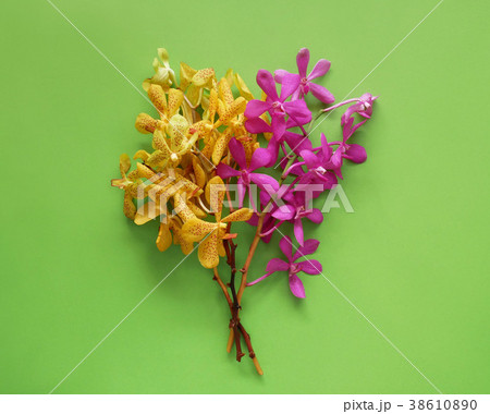Spring flowers minimal art design 38610890