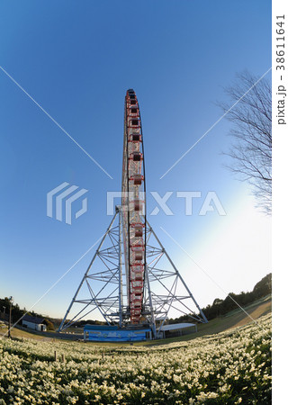 観覧車　葛西臨海公園　青空　ゴンドラ 38611641