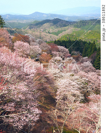 吉野山 吉野山 38611892