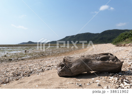 由布島の風景(マンタの浜) 由布島の風景(マンタの浜) 38611902