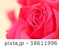 バラ 38611996