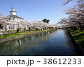 鶴岡公園の桜 38612233